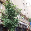 Отель Apartment Art Deco Budapest в Будапеште