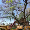 Отель Hacienda Maria Eugenio, фото 18
