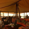 Отель Camp Linyanti, фото 15