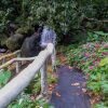 Отель Rio Celeste Family Lodge, фото 11