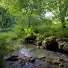 Отель Ta Mill Cottages & Lodges - Brookview Lodge 3, фото 5