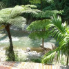 Отель Back to Nature Ecotourism, фото 13
