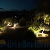 Отель Alekos Beach Houses - Natura Verde, фото 1