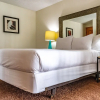 Отель La Jolla Guest House, фото 2