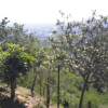 Отель House With 3 Bedrooms in Serravalle Pistoiese, With Wonderful Mountain, фото 14