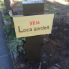 Отель Villa Loca Garden, фото 32
