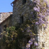 Отель Castello di Cennina, фото 3
