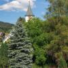 Отель Landgasthof Zum Schwarzen Grat, фото 20