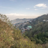 Отель Treebo Eeshan Rodhi Resort, Darjeeling, фото 19