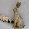 Отель Hollicarrs - Hares Leap, фото 21