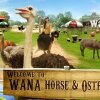 Отель Wana Horse And Ostrich Farm Tent, фото 7