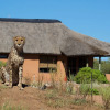 Отель Babson House @ Cheetah Conservation Fund, фото 13
