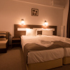 Отель Park Hotel Asenevtsi, фото 2