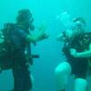 Отель Poseidon Padi Resort, фото 13