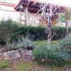 Отель House with 3 bedrooms in Porto Cesareo with enclosed garden 500 m from the beach, фото 9