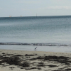 Отель Port An Dro 3 Studio Classé 1 étoiles à Carnac, фото 11