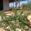 Отель Ningaloo Bed and Breakfast, фото 17