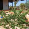 Отель Ningaloo Bed and Breakfast, фото 15