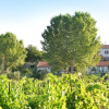 Отель Agriturismo Arte et Agricoltura, фото 8