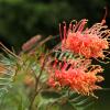 Отель Edgewater Terraces at Metung, фото 47