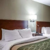 Отель Quality Inn & Suites, фото 3