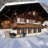 Отель Infopoint Apartments Chalet and Motel BrunigSilvana, фото 7