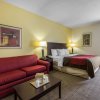 Отель Comfort Inn & Suites, фото 5