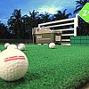 Отель Palm Driving Range & Resort, фото 12