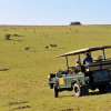 Отель Pollards Inn Hotel, Kwantu Game Reserve, фото 5