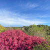 Отель Kauri Villas, фото 47