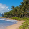 Отель Waiohuli Beach Hale by Rentals Maui Inc., фото 14