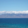Отель Maui Kai 605 1 Bedroom Condo, фото 19