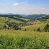 Отель Ferienwohnung-Feldberg-in-der-Pension-Gloecklehof, фото 4