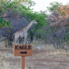 Отель Eagle Tented Lodge & Spa Etosha, фото 1