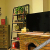 Отель Anji Flavor · Zhuzhongyi Boutique Hostel, фото 24