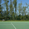 Sports