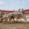 Отель Puy du Fou France - Hotel la Citadelle, фото 20
