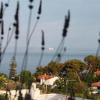 Отель Sea View Apartment 15 Min From Athens Airport, фото 1