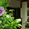 Отель Hibiscus Guest House, фото 14