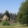 Отель Isla de Maipo Country home, фото 29