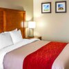 Отель Comfort Inn & Suites Coralville - Iowa City near Iowa River Landing, фото 29