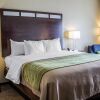 Отель Comfort Inn Cambridge Area, фото 3