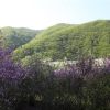 Отель Changbaishan International Dong Hot Spring Jiabin Building, фото 12