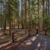 Отель Owl's Peak by Avantstay Private Pine Tree Cabin Mins From The Water, фото 9
