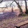 Отель The Willows at Mullans Bay, фото 19