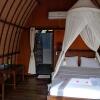 Отель Mango Dive & Bungalow, фото 1
