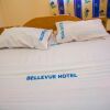 Отель Bellevue Hotel, фото 19