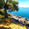 Отель Villa Leonidas GreeceFiloxenia, фото 22