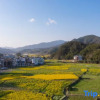 Отель Shan'erqi Holiday Aesthetics High-end Designer Homestay (Wuyuan Guling Scenic Area), фото 12