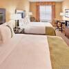 Отель Holiday Inn Hotel & Suites Memphis - Wolfchase Galleria, an IHG Hotel, фото 4